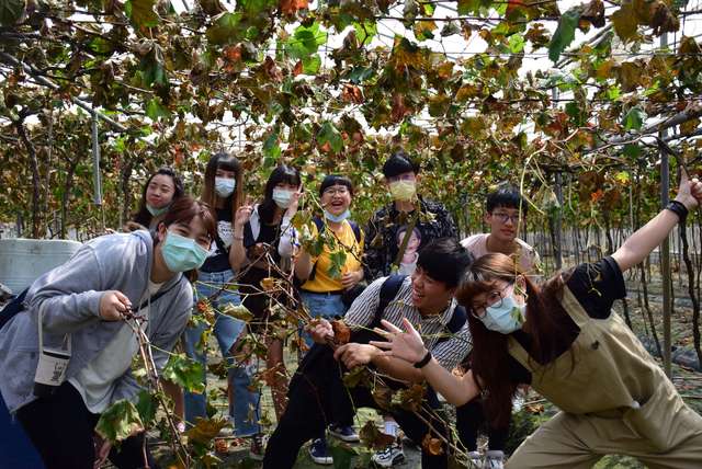 Students of Department of Industrial Design helped farmers in the village of Da-Chuen, Changhua County,   build their own furniture brands by taking advantage of abandoned vines and developed innovative and eco-friendly vine-antiseptic technology to promote a green circular economy.