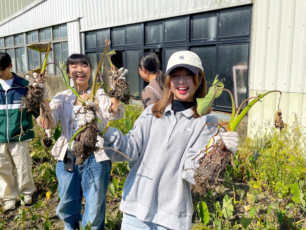 The “Maoli Young Farmers Sustainable Design and Co-prosperity” project showcases excellence in merging design and technology for sustainability.Image