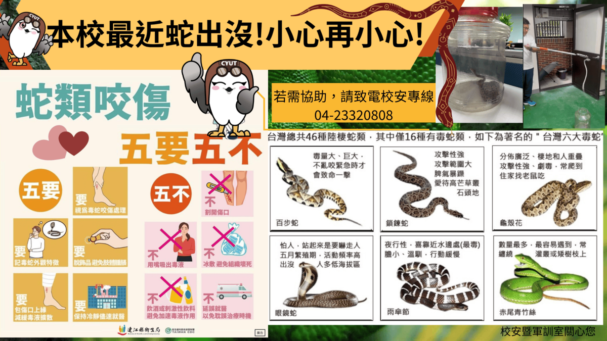 蛇出沒圖片