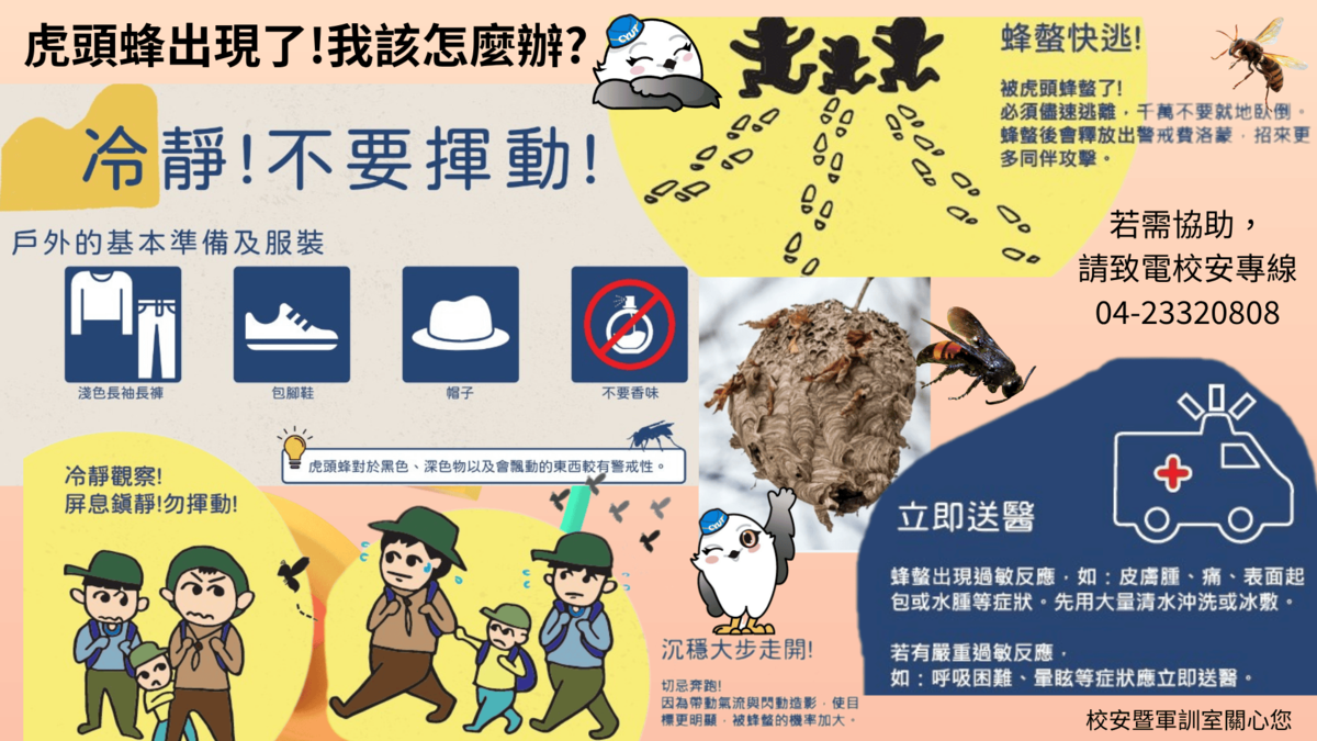 蜂出沒圖片