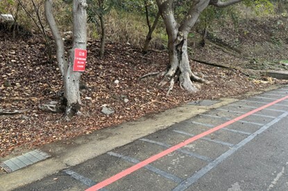 紅線禁止停車圖片