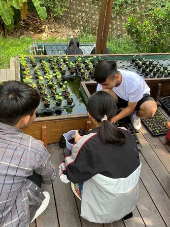 本校師生於校園內打造「永續可食實驗室」，採用輕觸大地的生態設計，發展微型「魚菜共生」的耕養共生種植模式。