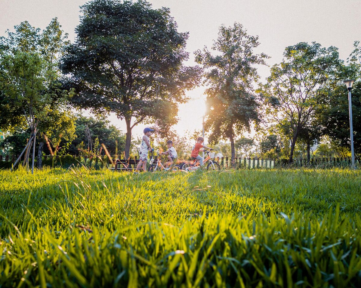 Jie-Yi Su wins the Photography Creative Design Award with “Childhood Bicycle Memories.”Image